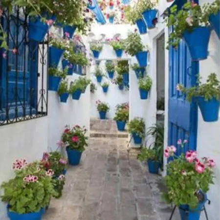 Corredera House. Pleno Centro De * Cordoba