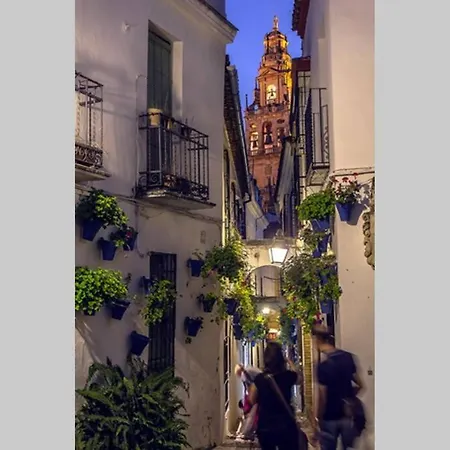 Corredera House. Pleno Centro De Apartment Cordoba